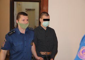 Krajský soud Brno poslal v úterý na 12,5 roku do věznice s ostrahou Richarda U. za vraždu ve stadiu pokusu.