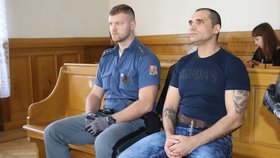 Mám žloutenku a budeš ji mít i ty! Recidivista bodl střepem muže a plival na policisty: 8 let v base