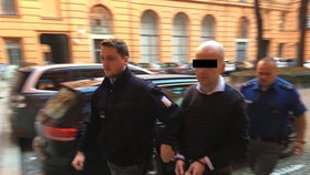 Eskorta přivádí k soudu Lukáše F. (35), který 1. května 2019 úmyslně najel v Brně do chodce, za vraždu ve stadiu pokusu mu hrozí až 18 let vězení.