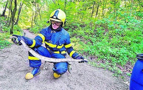 Podchlazenou krajtu našli vylekaní kolemjdoucí.