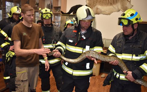 Při odchytu exotických hadů je třeba maximální soustředěnost, říká chovatel zoo Michal Fuglevič, jehož při produkci uštkla dvoumetrová krajta.