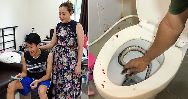 Mladík močil vsedě na záchodě: Číhající had se mu zakousl rovnou do penisu! 