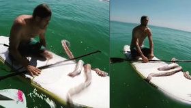 Útok z hlubin: Krakatice obmotala chapadla kolem surfu paddleboardisty