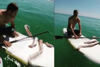 Jak z filmu! Obří krakatice zaútočila na paddleboardistu, ten vše natočil