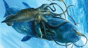 Monstrum z hlubin odhaleno: Luštění Krakenova genomu