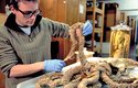 Biolog z Kodaňské univerzity s krakaticí naloženou do lihu