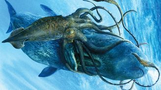 Gigantické monstrum z hlubin má reálné základy: Luštění Krakenova genomu