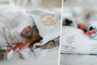 Máma se 7 dětmi porodila paterčata: Jedno z nich bohužel zemřelo