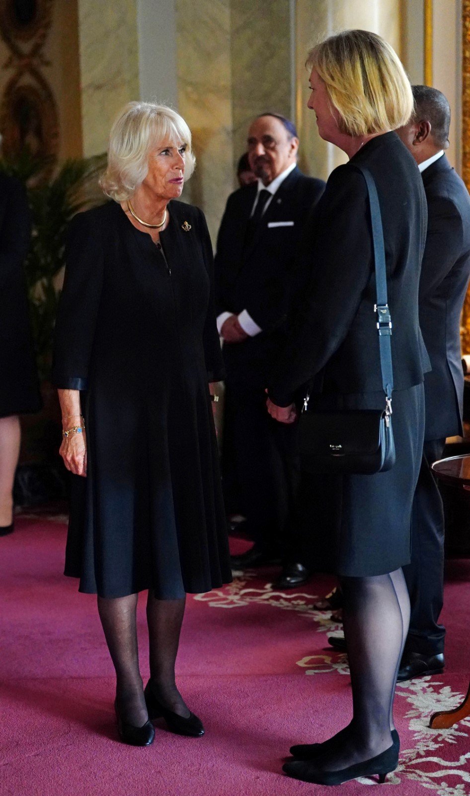 Karel III. a Camilla na recepci s diplomatickými zástupci zemí Společenstva národů v Buckinghamském paláci.