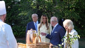 Prezident Donald Trump a první dáma Melania Trump spolu s britským králem Karlem III. a královnou Camillou si prohlížejí zahradu a včelí úl na Jižních zahradách Bílého domu,