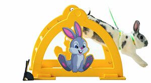 Králičí hop: Závody králíků jsou stále oblíbenější