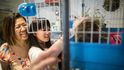 V Hongkongu otevřeli "králičí kavárnu"