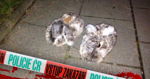 Zpráva dne: Ozbrojení stražníci honili králíky, dopadli bačkory