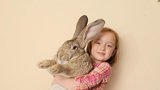 Největší králík na světě zmizel: Někdo ho ukradl, tvrdí majitelka