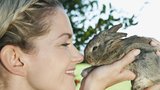 Zakrslý králík: Milý společník i do malého bytu