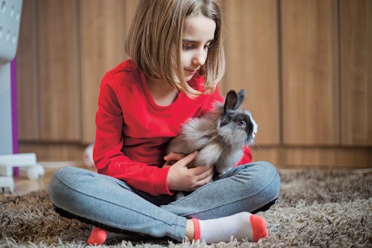 Zakrslí králíci jsou nenáročnými mazlíčky vhodnými i pro děti