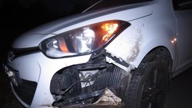 Nehodu s osobním automobilem na Královéhradecku nepřežil klokan.