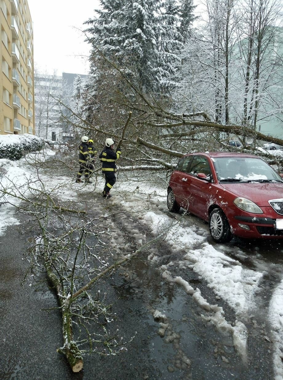 Následky silného vichru v Královéhradeckém kraji (11.3.2023)