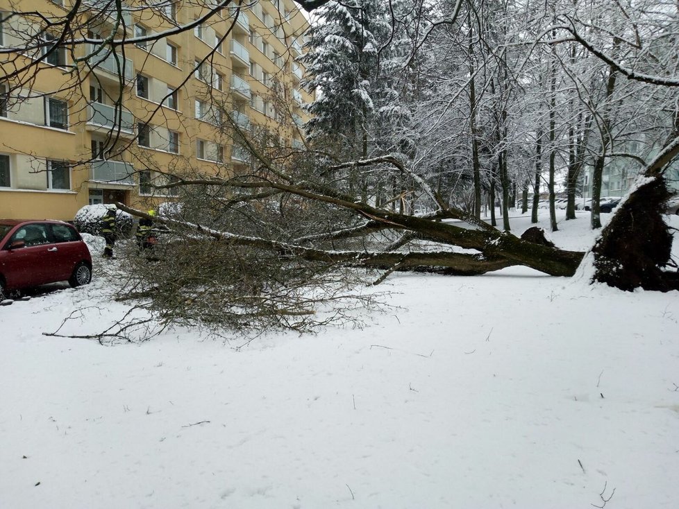 Následky silného vichru v Královéhradeckém kraji (11.3.2023)