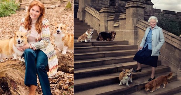 Fergie se o psy poctivě starala.