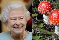 Tajemství královny Alžběty: Halucinogenní houby v zahradě!
