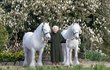 Královna Alžběta II. byla velkou milovnicí koní. 