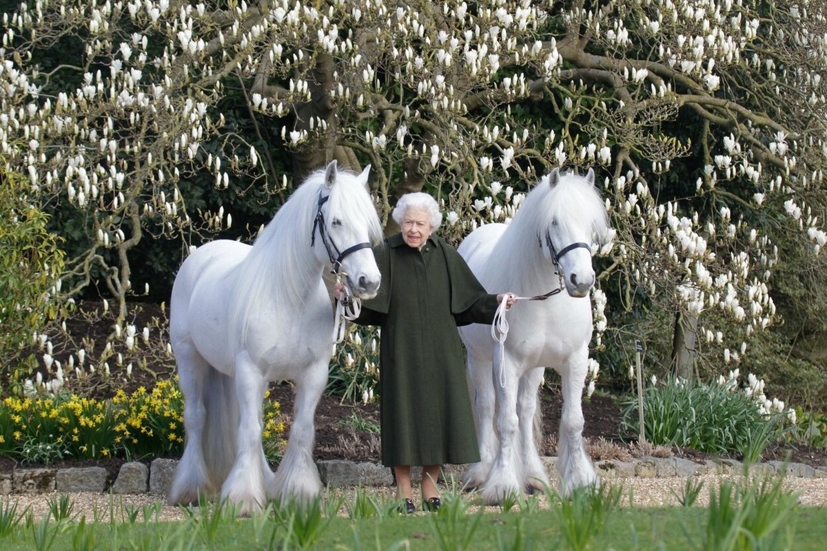 Královna Alžběta II. byla velkou milovnicí koní. 