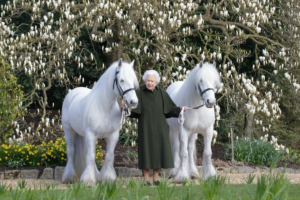 Královna Alžběta II. byla velkou milovnicí psů i koní.
