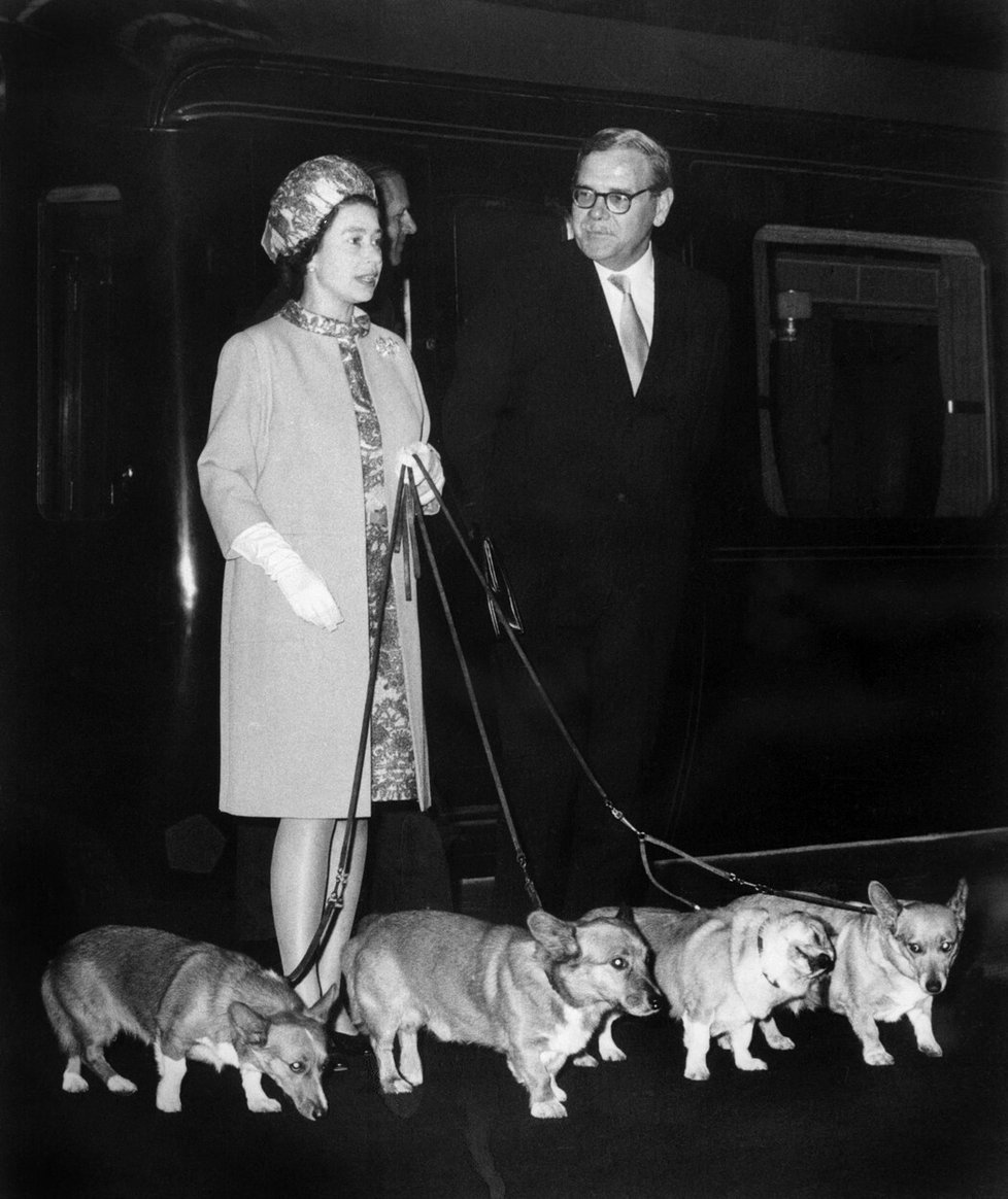 Královna Alžběta II. milovala své psy.