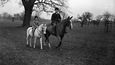 Alžběta na vyjížďce na koni se svým otcem v roce 1936.