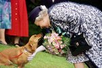 Královna byla vášnivou chovatelkou psů, které brala jako členy rodiny.