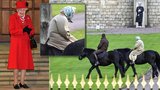 V 94 letech stále na koni! Královna Alžběta II. si vyjela po svém panství na projížďku