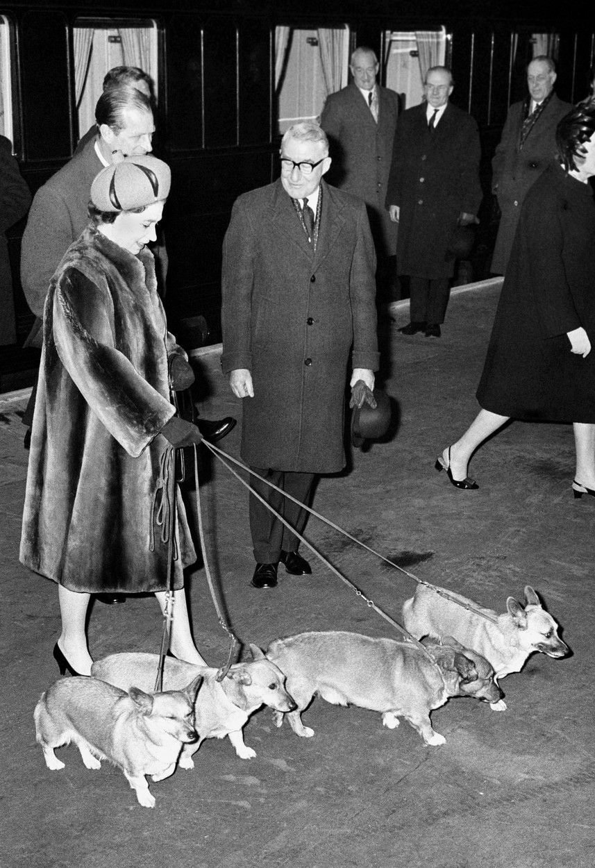 Královna byla vášnivou chovatelkou psů, které brala jako členy rodiny.