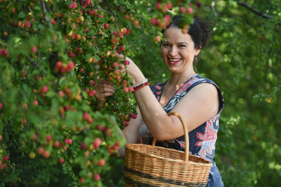 Jozefína Růžičková si ovoce na své marmelády u pěstitelů pečlivě vybírá.