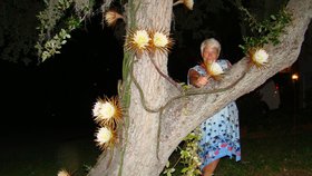 Krajance Renatě Myslivečkové se podařilo nafotit květy Královny noci, které kvetou jen za tmy a pouze pár hodin