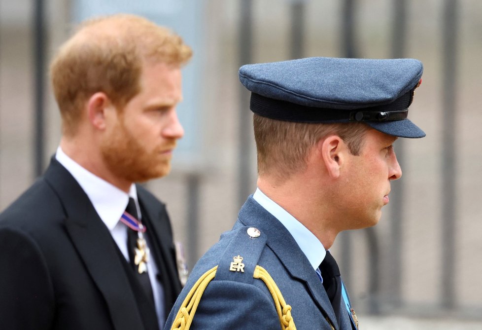 Rozkmotření bratři a princové William a Harry.