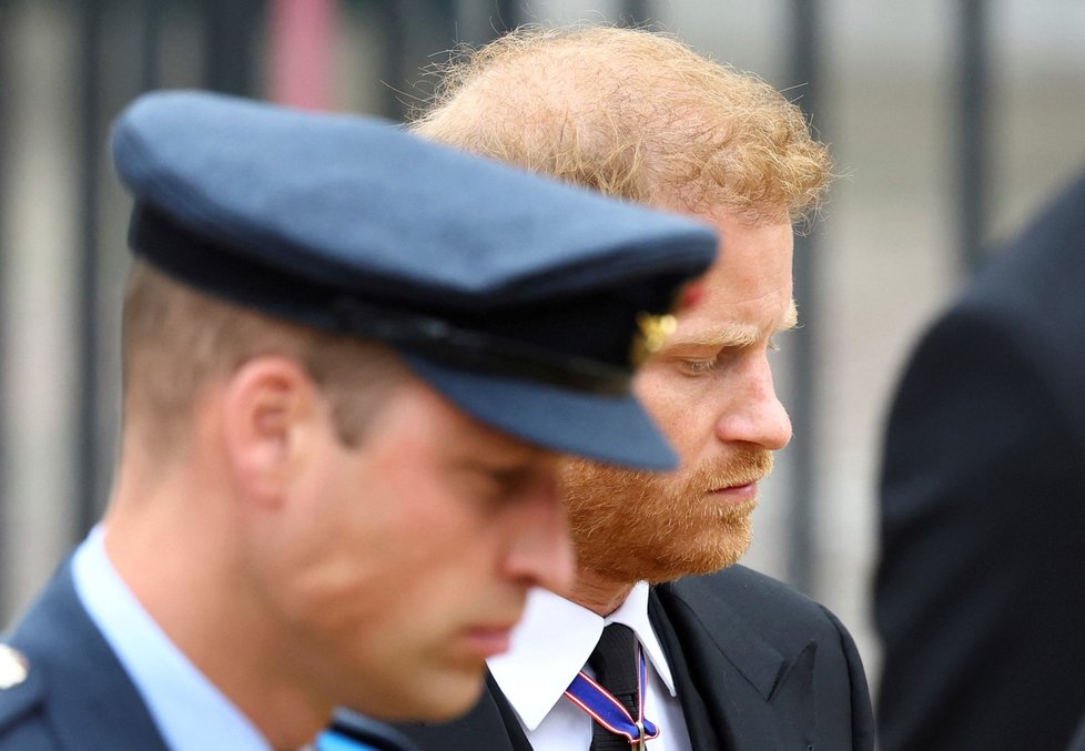 Rozkmotření bratři a princové William a Harry.