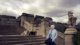 Královna se svými pejsky na zámku Windsor