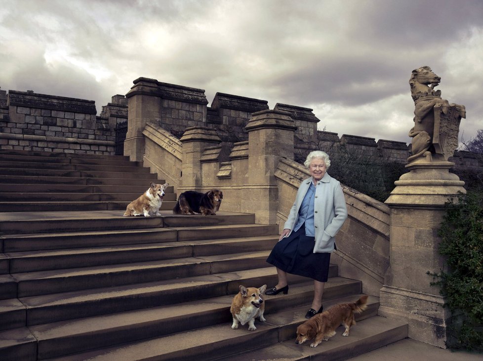 Královna se svými pejsky na zámku Windsor