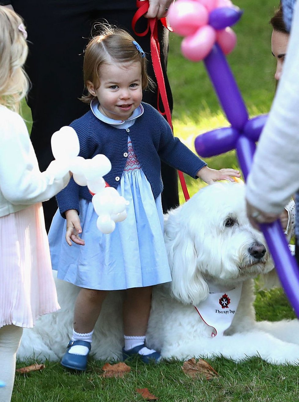 Děti princezny Charlotte nebudou mít nárok na titul.