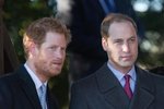 Bratři jak se patří: Zarostlý "rošťák" Harry a princ William