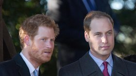 Bratři jak se patří: Zarostlý "rošťák" Harry a princ William