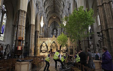 V interiéru katedrály se objevily živé stromy