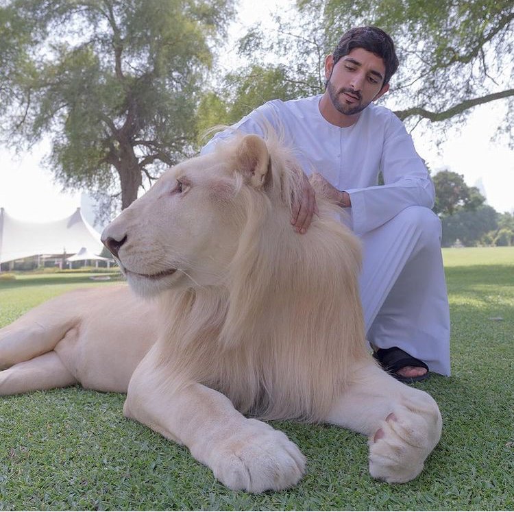 Dubajský korunní princ Hamdan bid Mohammed miluje luxus a adrenalin.