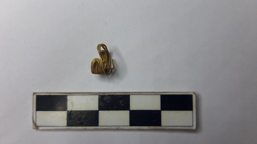 Našla se i zlatá kličkovitá záušnice ze starověku.