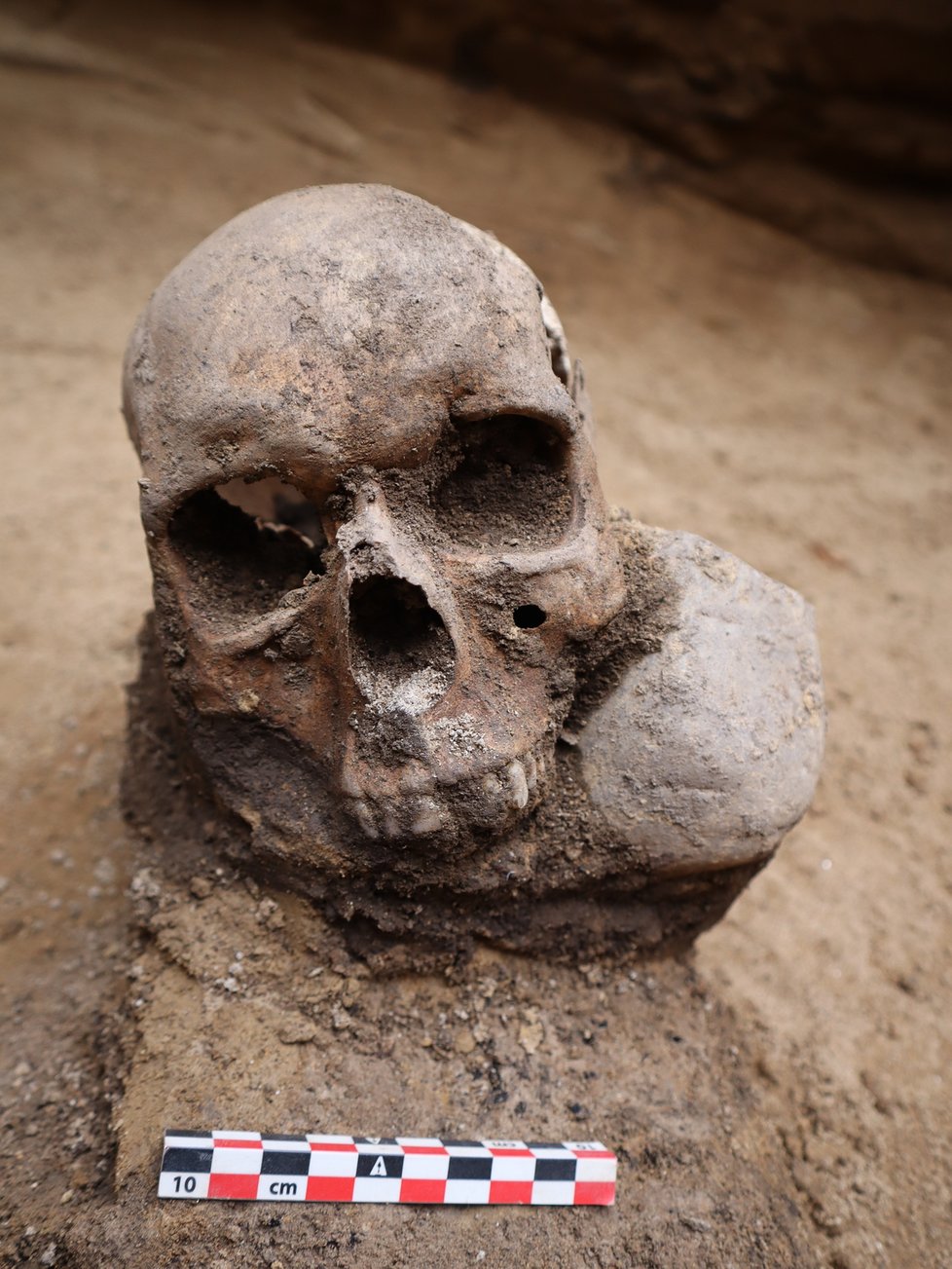 Lebka nalezena v zásobním objektu z doby bronzové.