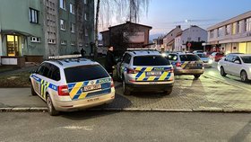 Policie v Kralupech nad Vltavou.