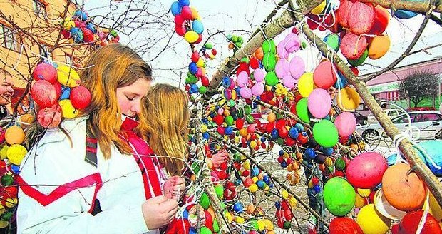 Na větve velikonočního skořápkovníku navěsili školáci z Miroslavi na Znojemsku 3340 kraslic
