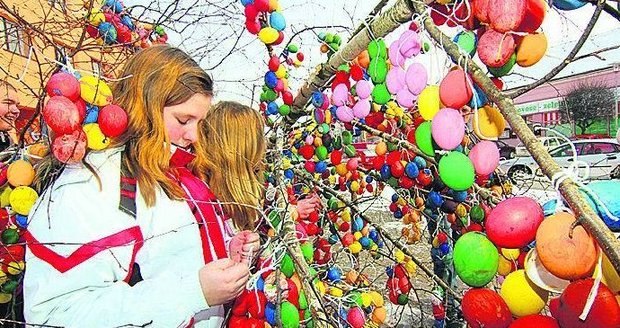 Na větve velikonočního skořápkovníku navěsili školáci z Miroslavi na Znojemsku 3340 kraslic