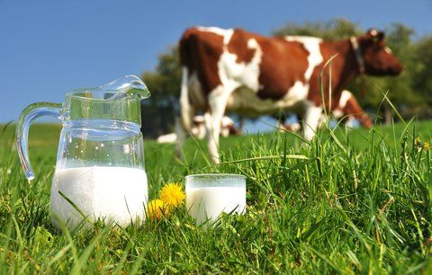 Vyvracíme mýty a pověry o mléku: Co jste o něm možná netušili?